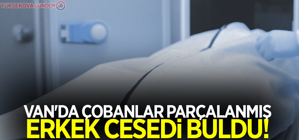 Van'da çobanlar parçalanmış erkek cesedi buldu!