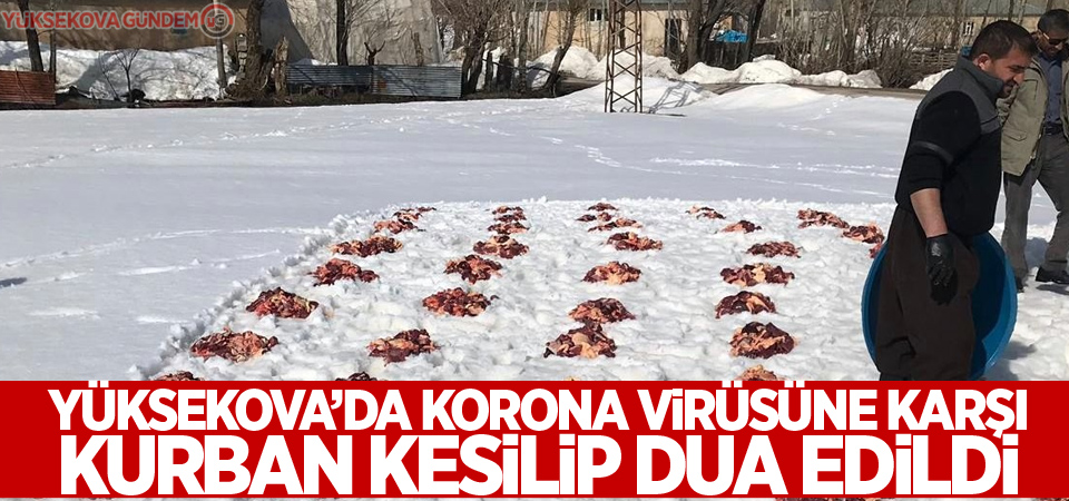 Yüksekova’da korona virüsüne karşı kurban kesilip dua edildi