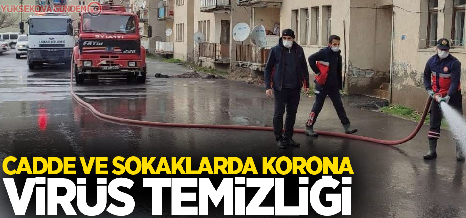 Cadde ve sokaklarda korona virüs temizliği