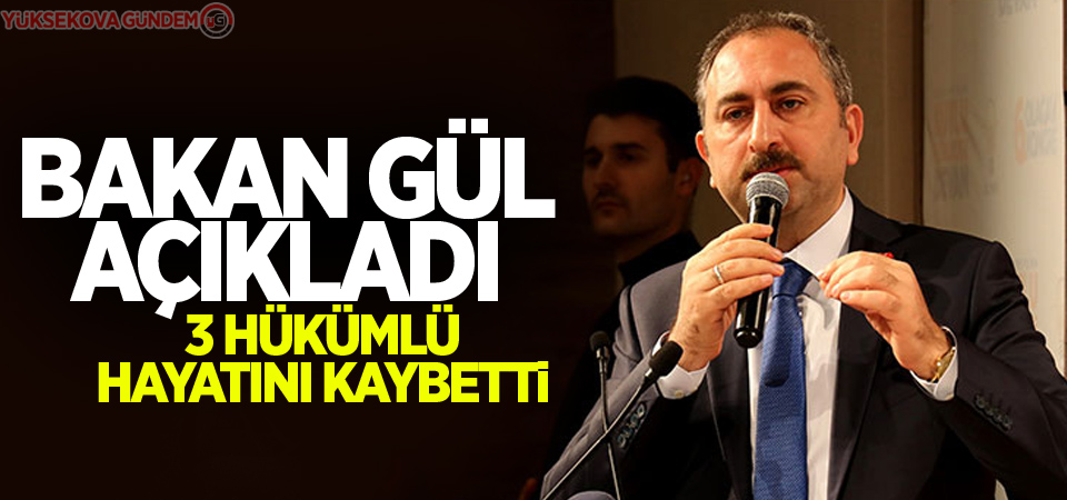 Adalet Bakanı Gül'den önemli açıklamalar!