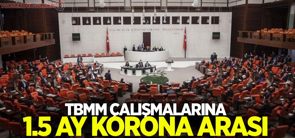 TBMM çalışmalarına 1.5 ay korona arası