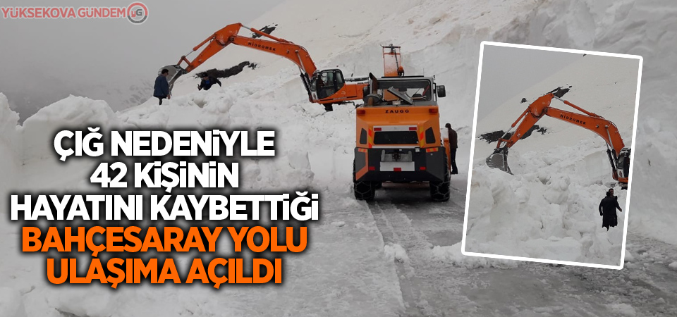 Çığ nedeniyle 42 kişinin hayatını kaybettiği Bahçesaray yolu ulaşıma açıldı