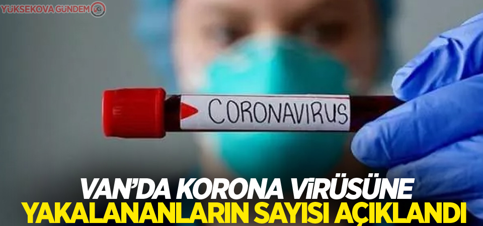Van’da korona virüsüne yakalananların sayısı açıklandı