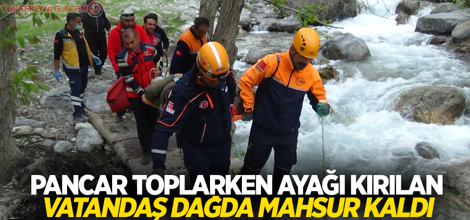 Pancar toplarken ayağı kırılan vatandaş dağda mahsur kaldı