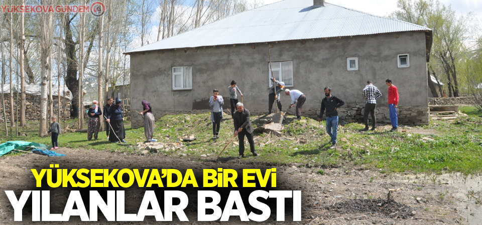 Yüksekova'da bir evi yılanlar bastı