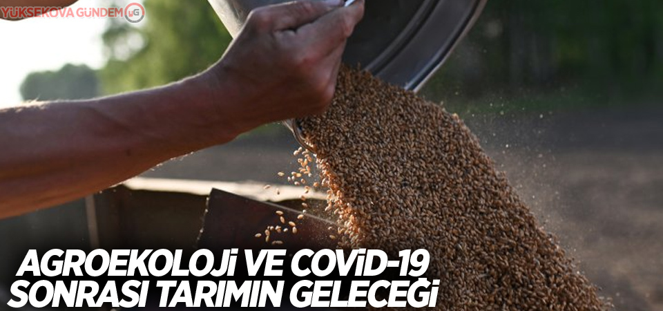 Agroekoloji ve Covid-19 sonrası tarımın geleceği