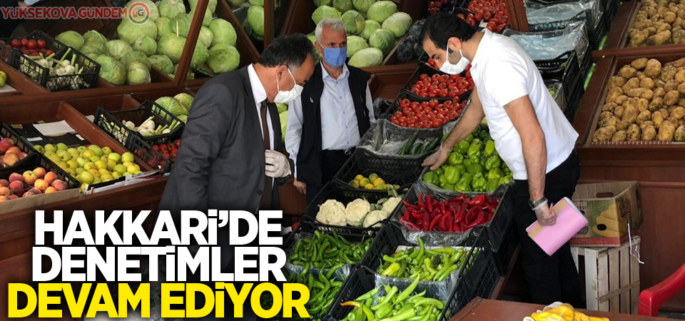 Hakkari'de denetimler devam ediyor