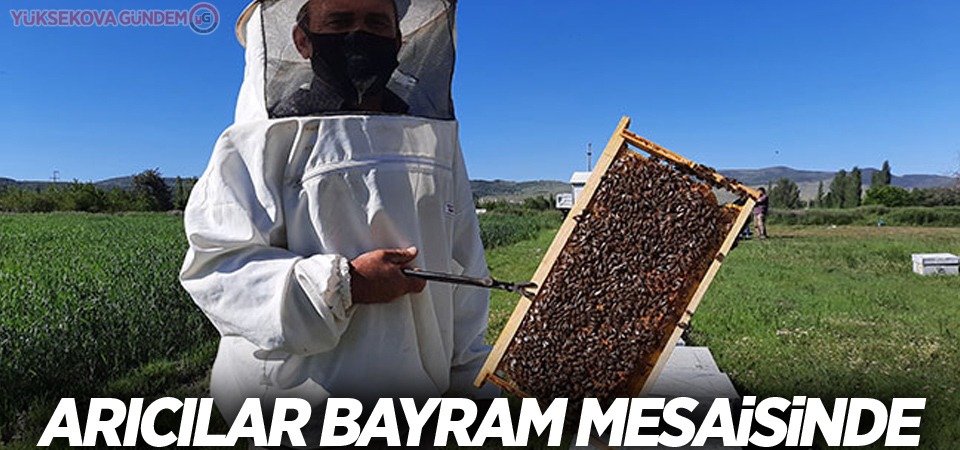 Arıcılar bayram mesaisinde