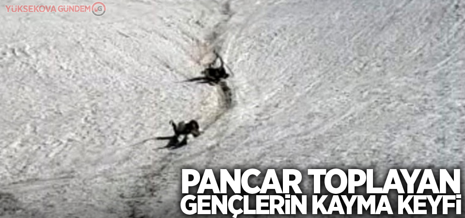 Pancar toplayan gençlerin kayma keyfi