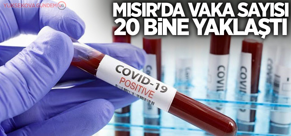 Mısır'da vaka sayısı 20 bine yaklaştı