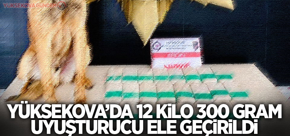Yüksekova’da 12 kilo 300 gram uyuşturucu ele geçirildi