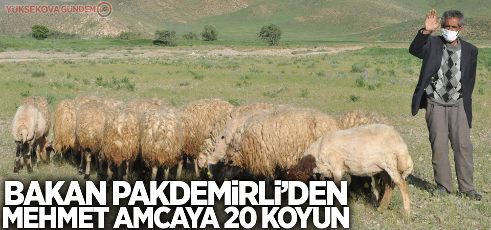 Bakan Pakdemirli'den Mehmet amcaya 20 koyun