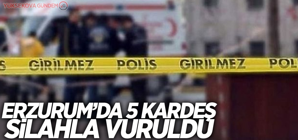 Erzurum'da 5 kardeş silahla vuruldu