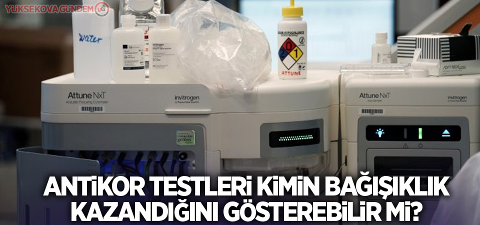 Antikor testleri kimin bağışıklık kazandığını gösterebilir mi?