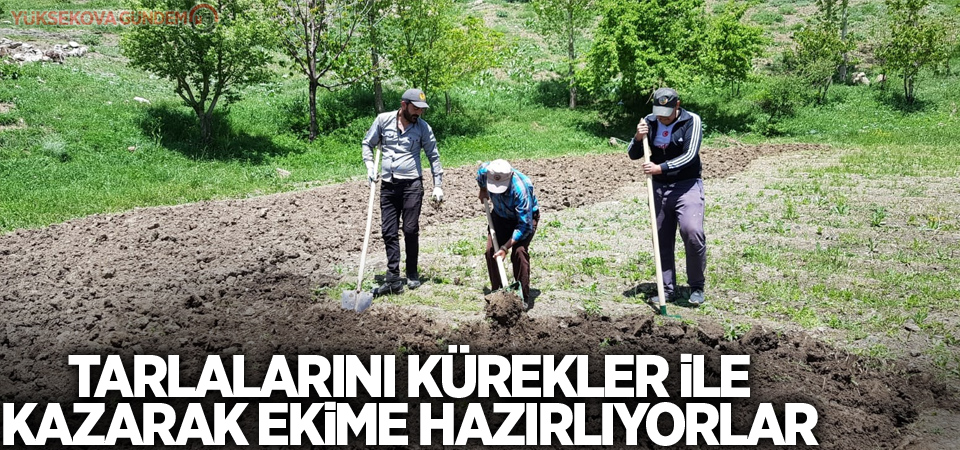 Tarlalarını kürekler ile kazarak ekime hazırlıyorlar