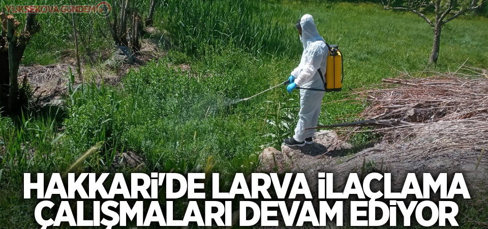 Hakkari'de larva ilaçlama çalışmaları sürüyor