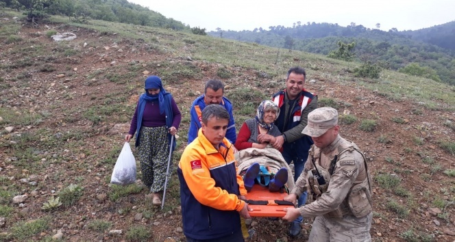 Kaybolan yaşlı kadın ormanlık alanda bulundu