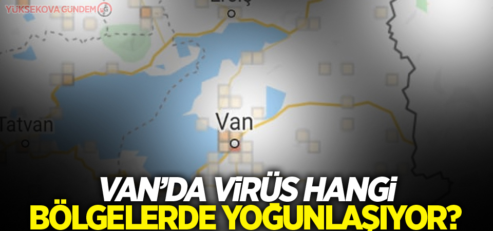 Van'da Covid-19 vakaları bu bölgede yoğunlaşıyor!