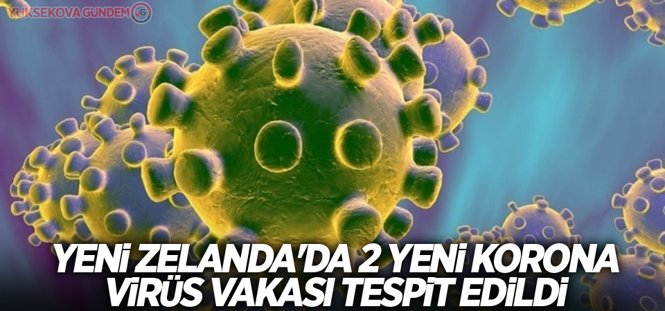 Yeni Zelanda'da 2 yeni korona virüs vakası tespit edildi