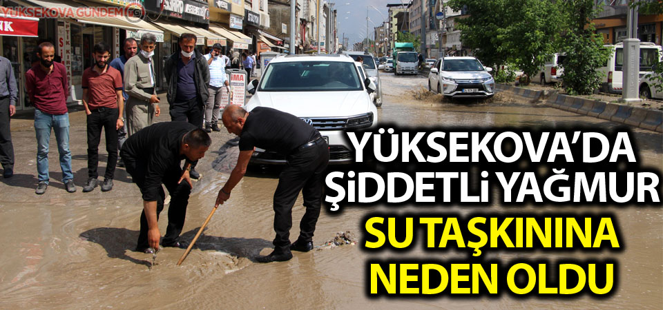 Yüksekova'da şiddetli yağmur su taşkınına neden oldu!