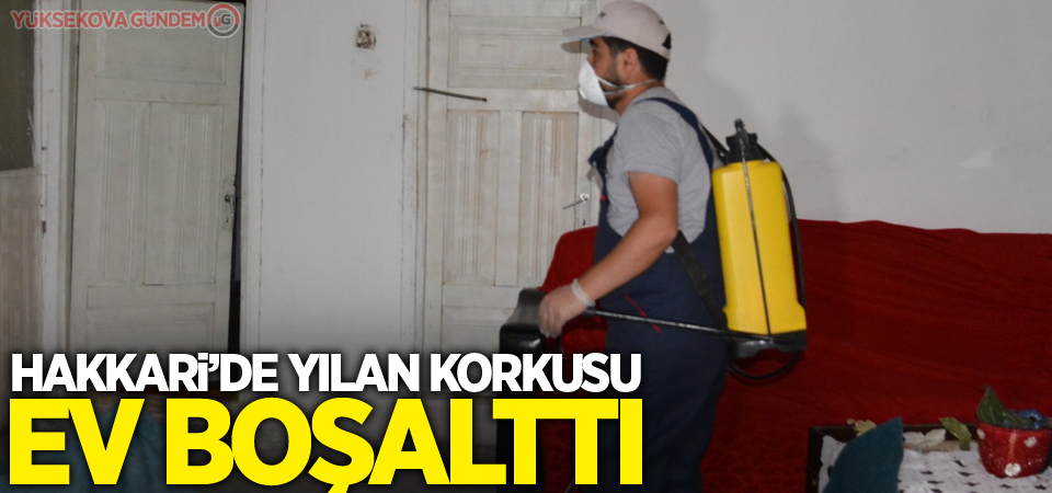 Hakkari’de yılan korkusu ev boşalttı