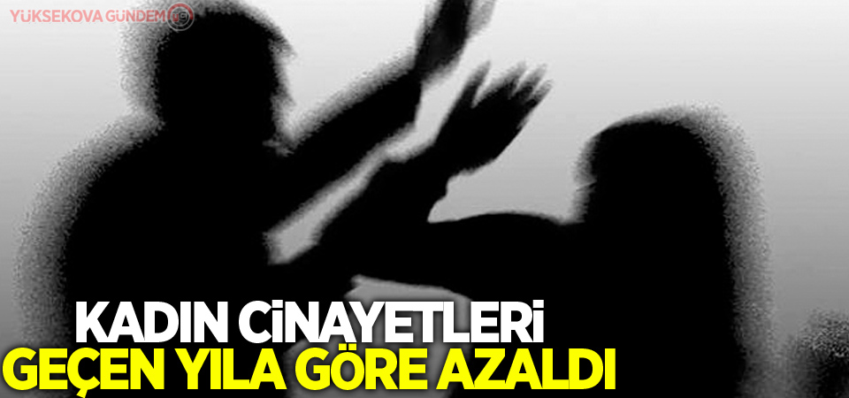 Kadın cinayetleri geçen yıla göre azaldı