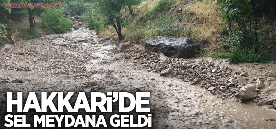 Hakkari’de sel