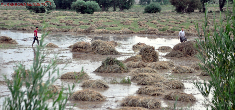 Yüksekova'da sel felaketi: 10 bin bağ ot ve bahçeler zarar gördü