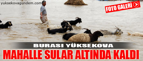 Yüksekova Sular Altında Kaldı