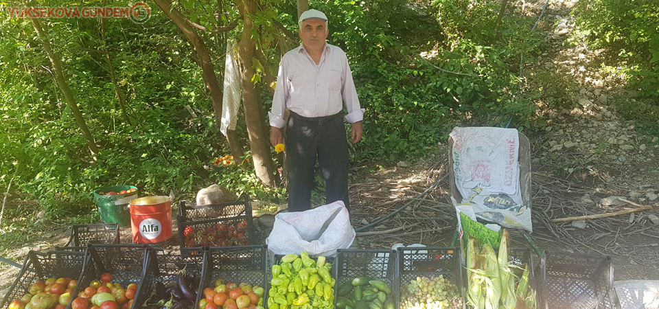 Hakkari-Şırnak yolunda sebze tezgahları kuruldu