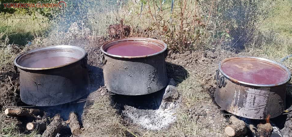 Çukurca’da doğal üzüm pekmezinin yapılmasına başlandı