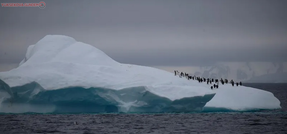 Antarktika'da ilk Covid vakaları tespit edildi