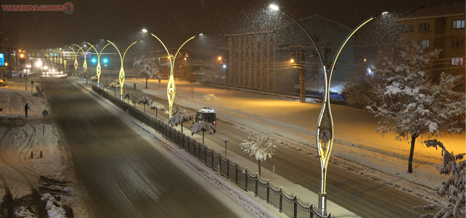 Meteorolojiden Yüksekova ve Van için kuvvetli yağış uyarısı