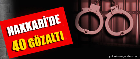 Hakkari'de 40 kişi gözaltına alındı
