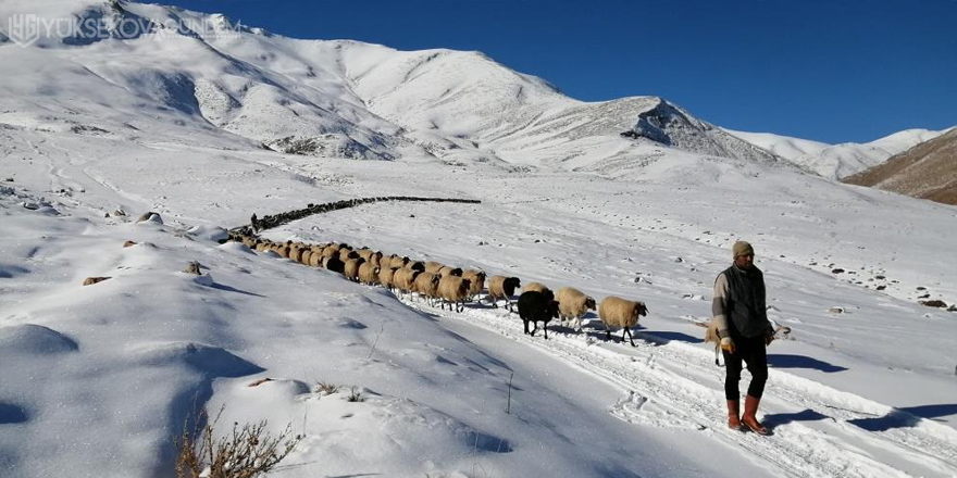 Vanlı çobanlar yayla sezonunu kapattı