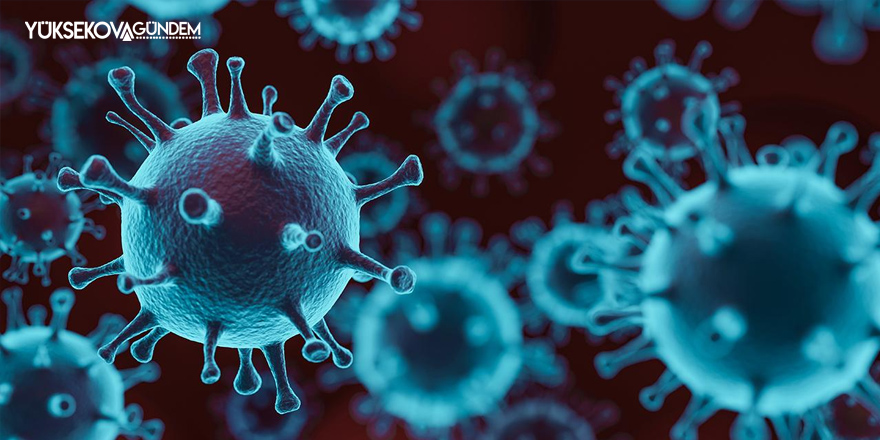 İngiltere aşı bakanı Zahawi: Virüsün 4 bin varyantı var