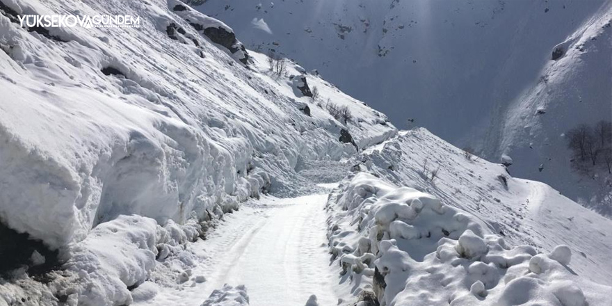 Şemdinli de çığ düştü, köy yolu ulaşıma kapandı