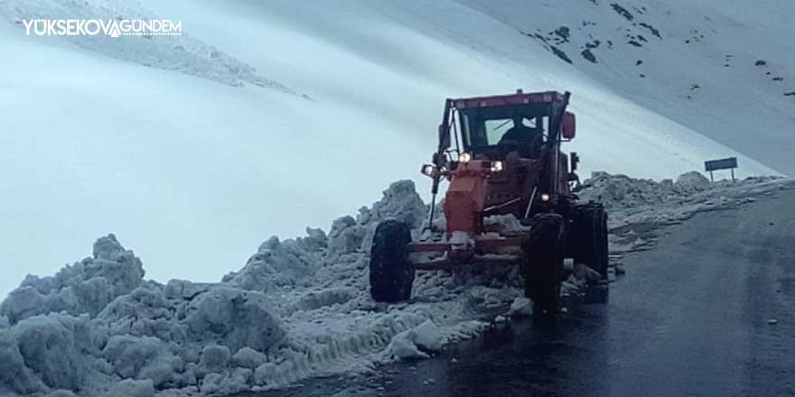 Van'da 165 yerleşim yeri ulaşıma kapandı