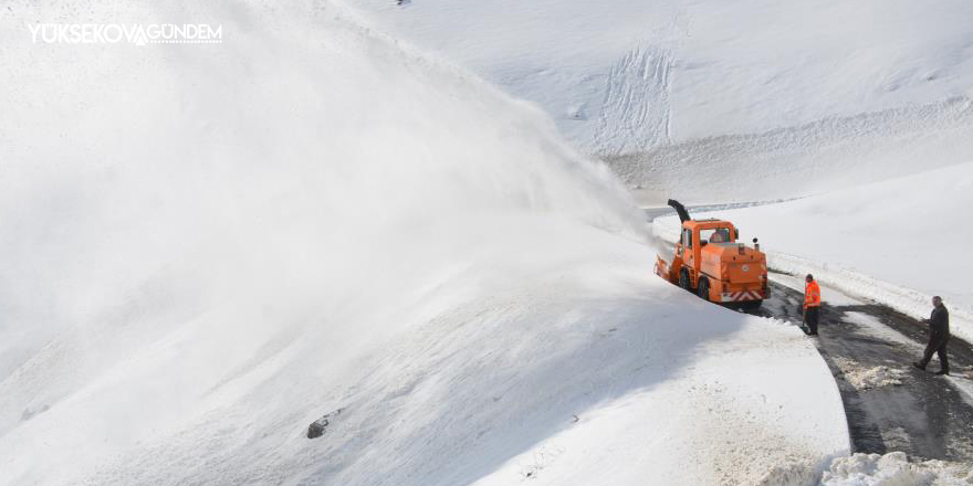 Meteorolojiden Hakkari için kar yağışı uyarısı