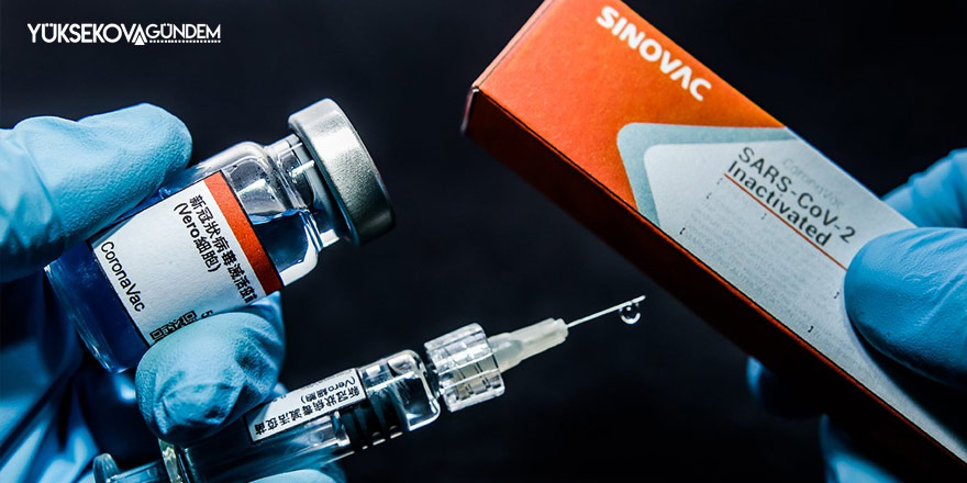 Sinovac aşısında yüzde 99,6 oranında antikor yanıtı saptandı
