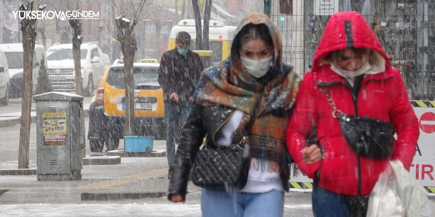 Van'da kar yağışı, kent beyaza büründü