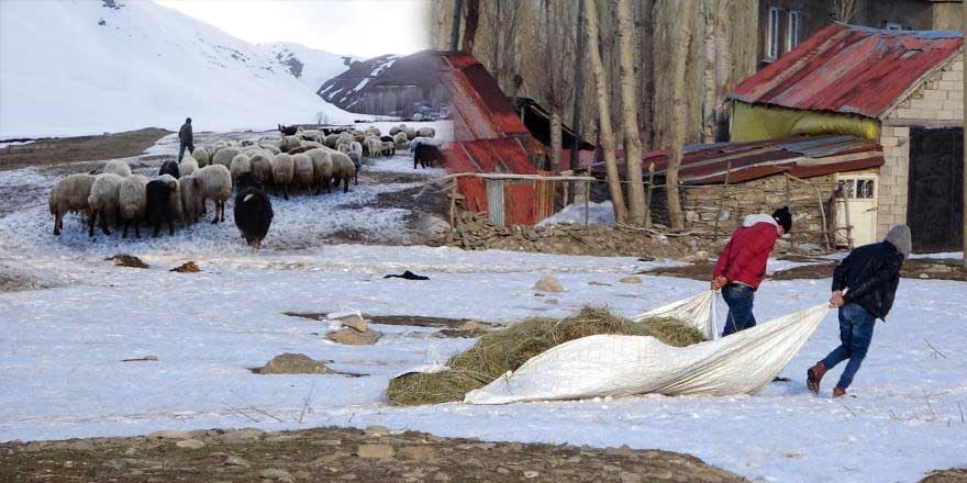 Yüksekova’da besicilerin kış mesaisi devam ediyor