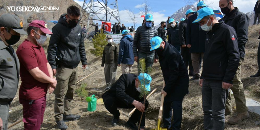 Hakkari’de bin 500 fidan toprakla buluşturuldu