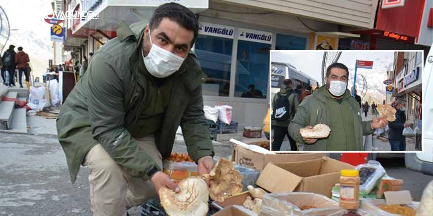 Hakkari’de yılın ilk mantarı piyasaya çıktı