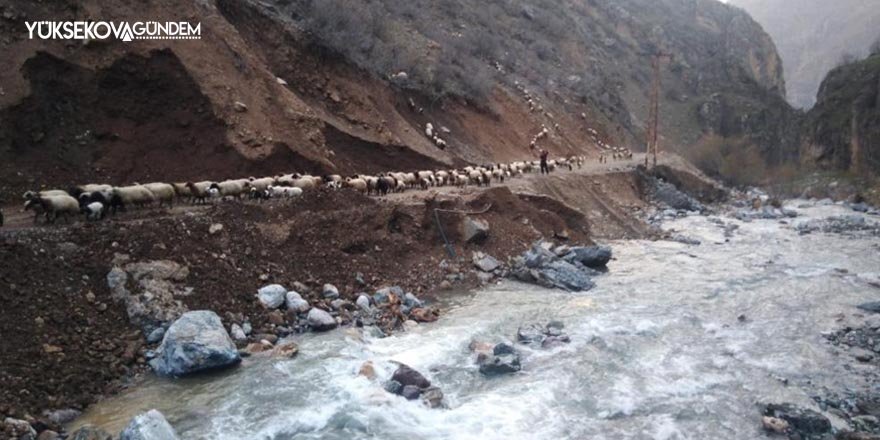 Hakkari’de sürülerin göçü başladı