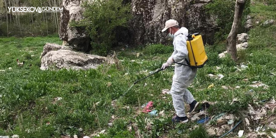 Hakkari'de ilaçlama çalışması