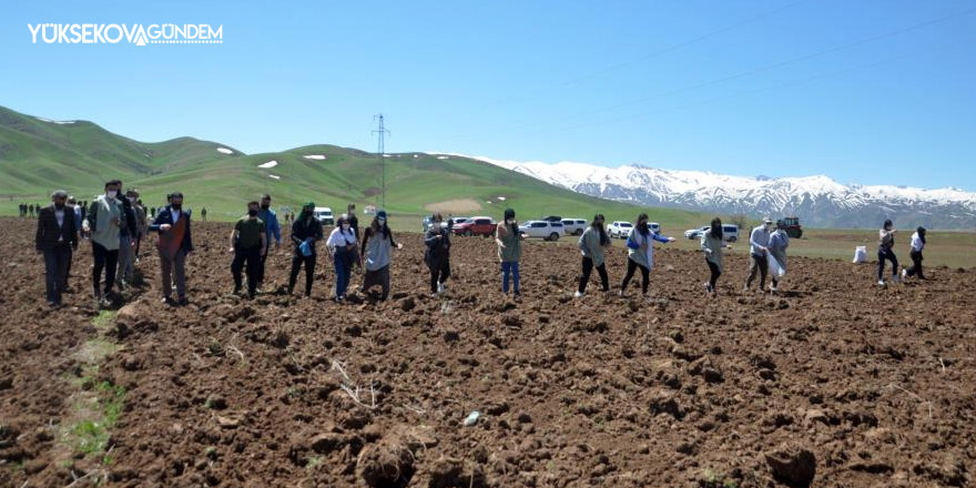 Yüksekova'da kadın eliyle ekim seferberliği