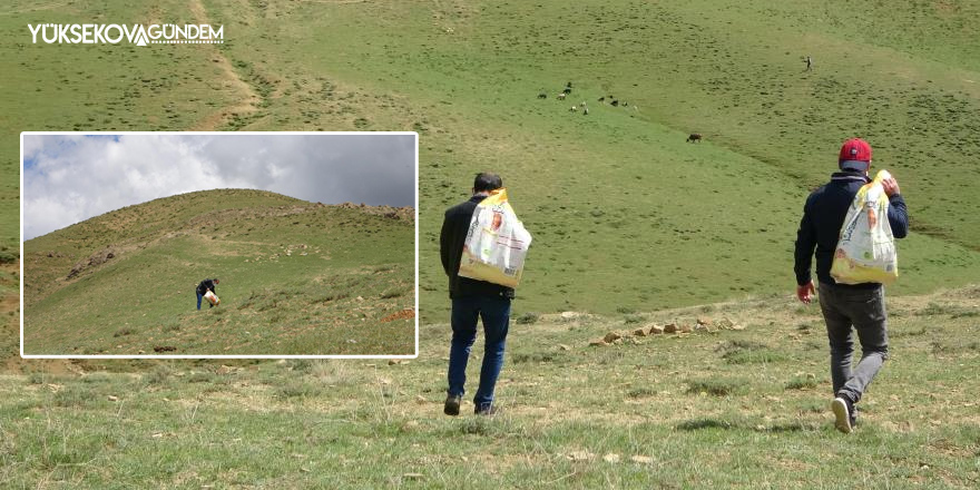 Yüksekova'da hayvanlar için doğaya yem bırakıldı