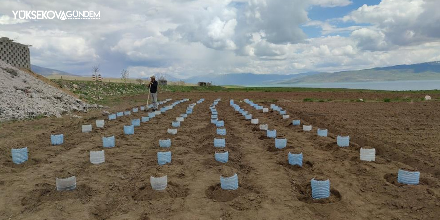 Vanlı çiftçi, 100 adet pet bidonla sera kurdu