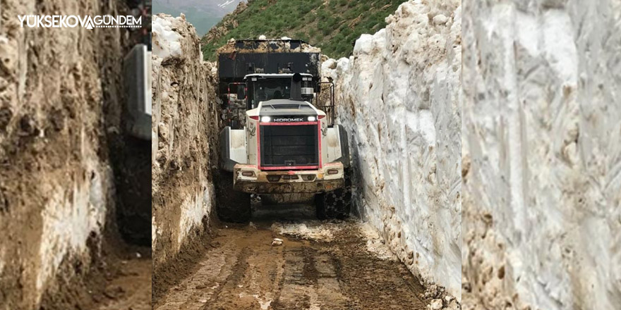 Hakkari: Kar kalınlığının 5 metreyi bulduğu yayla yolunda çalışma